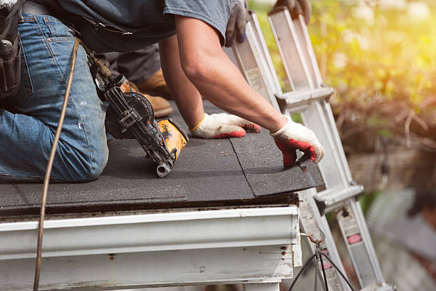 Best Roof Maintenance Services  in Horton, KS