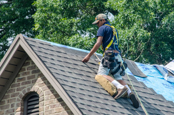 Best Roof Restoration Services  in Horton, KS